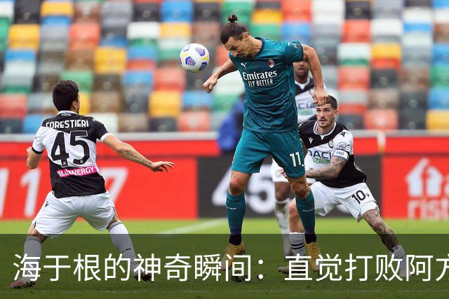 海于根的神奇瞬间：直觉打败阿方索！